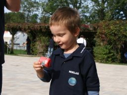 Neulengbach 2015